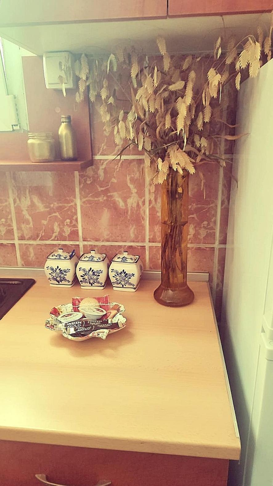 Centar Apartment Krusevac