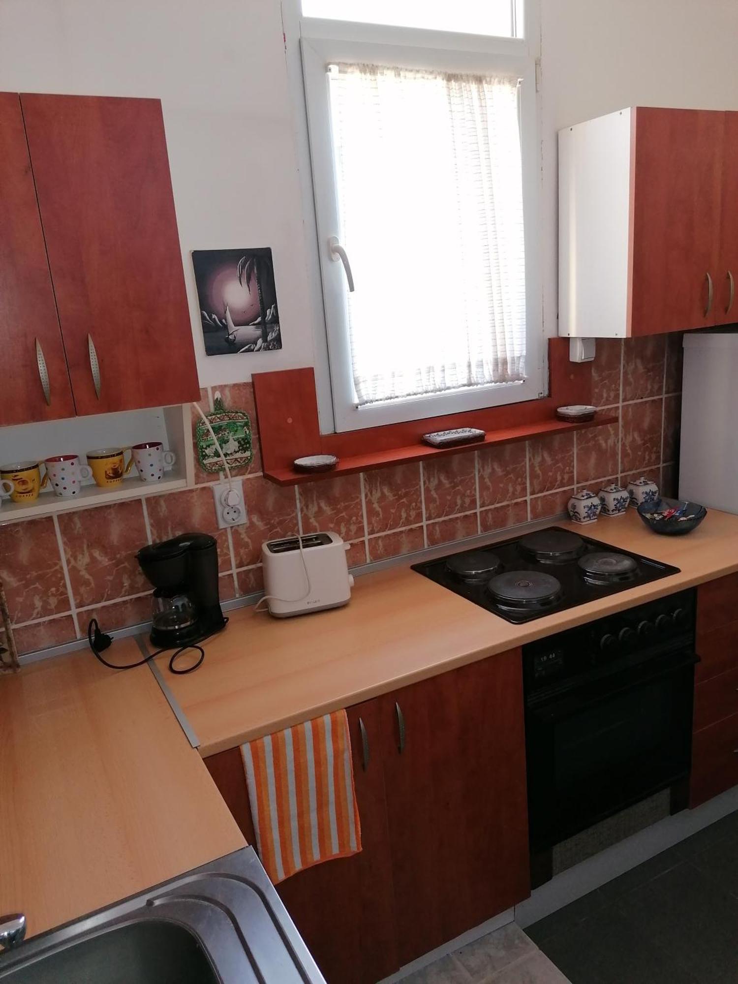 Apartment Centar *