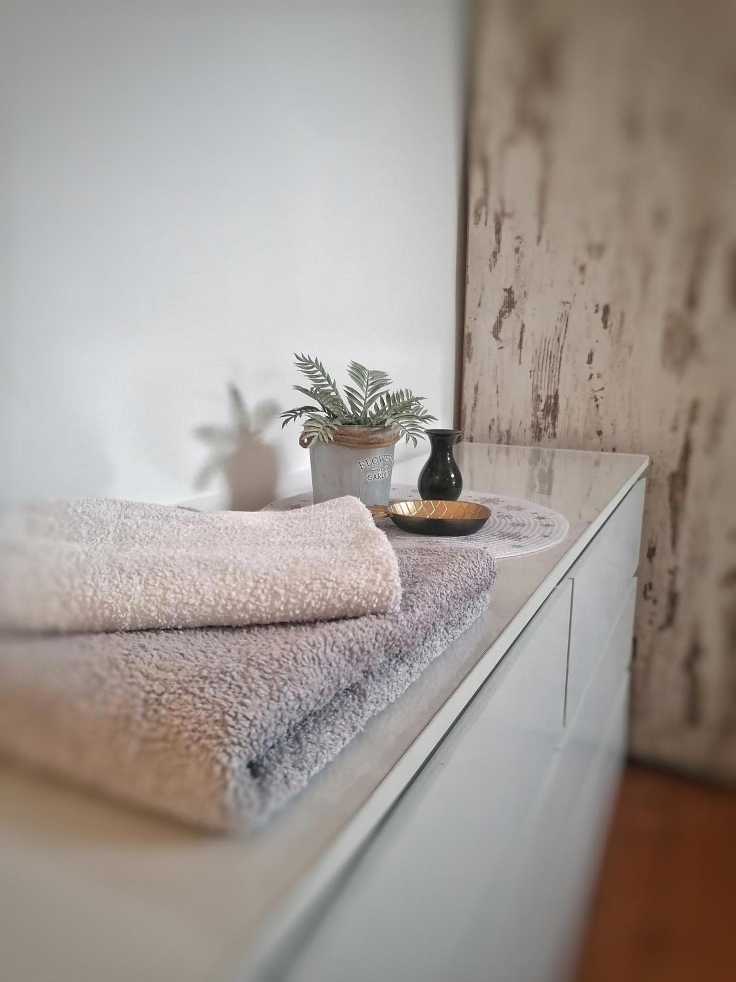 Apartment Centar