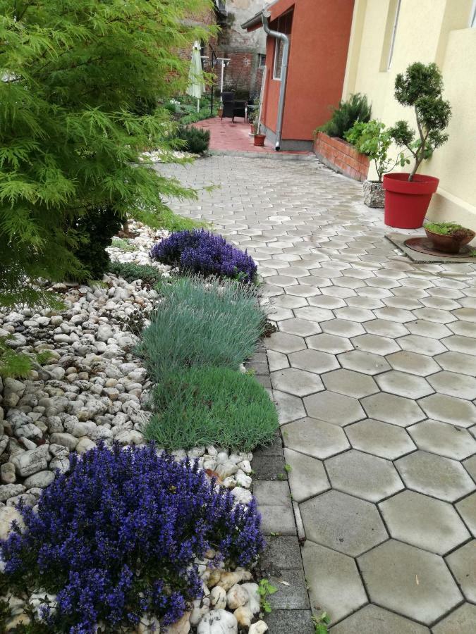 Centar Krusevac